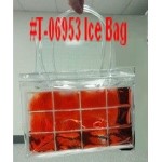 T-06953